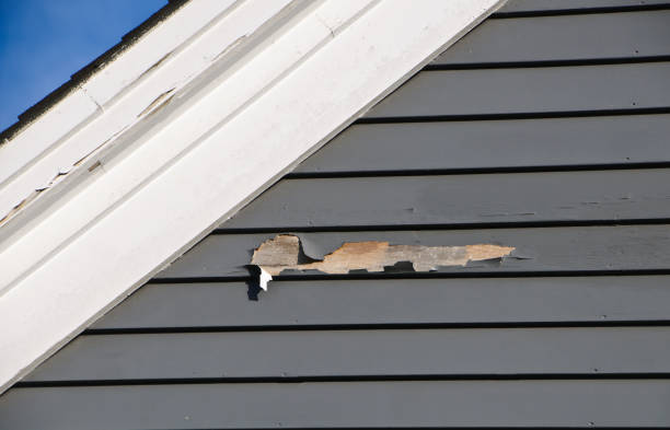 Best Fiber Cement Siding Installation  in Garfield Heights, OH